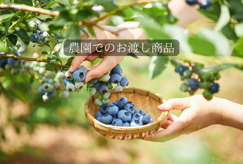 【予約販売受付中】農薬不使用仙台市秋保産生ブルーベリー250g/農園でのお渡し